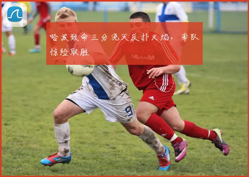 哈泼致命三分浇灭反扑火焰,率队惊险取胜